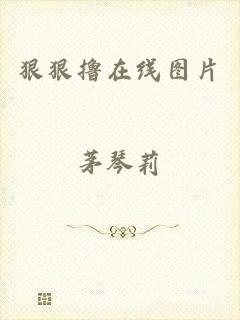 狠狠撸在线图片
