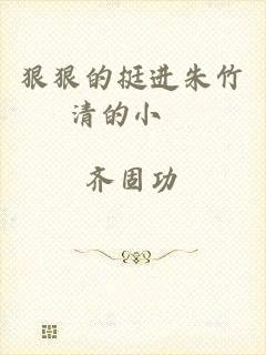 狠狠的挺进朱竹清的小泬