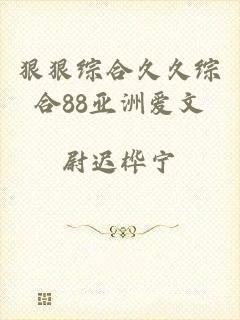 狠狠综合久久综合88亚洲爱文