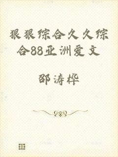 狠狠综合久久综合88亚洲爱文
