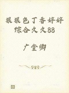 狠狠色丁香婷婷综合久久88