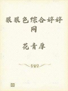 狠狠色综合婷婷网