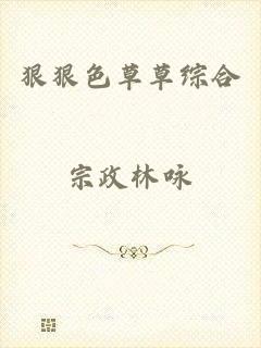 狠狠色草草综合