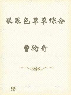 狠狠色草草综合