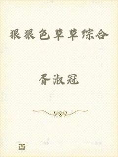 狠狠色草草综合