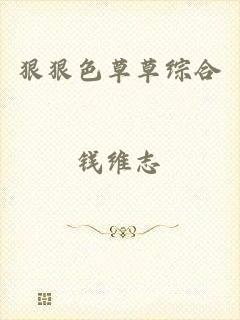 狠狠色草草综合