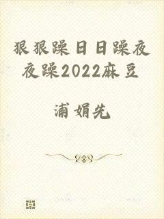 狠狠躁日日躁夜夜躁2022麻豆