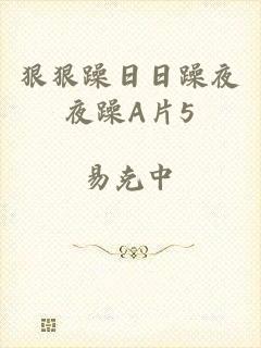狠狠躁日日躁夜夜躁A片5