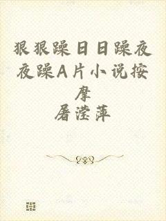 狠狠躁日日躁夜夜躁A片小说按摩