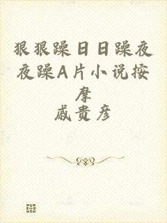狠狠躁日日躁夜夜躁A片小说按摩