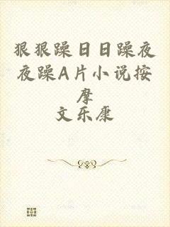 狠狠躁日日躁夜夜躁A片小说按摩