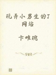 玩弄小男生的J网站