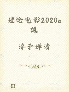 理论电影2020a级