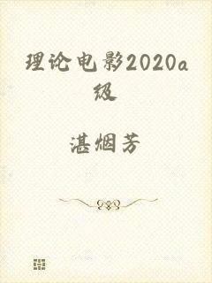 理论电影2020a级