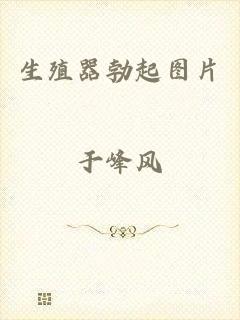 生殖器勃起图片