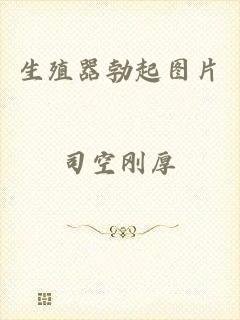 生殖器勃起图片