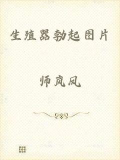 生殖器勃起图片