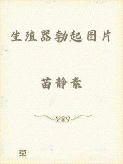 生殖器勃起图片