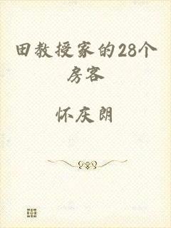 田教授家的28个房客