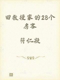 田教授家的28个房客