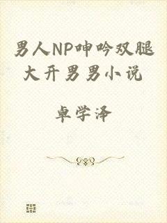 男人NP呻吟双腿大开男男小说