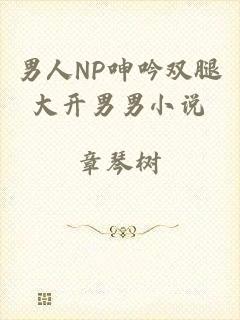 男人NP呻吟双腿大开男男小说
