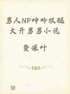 男人NP呻吟双腿大开男男小说
