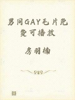 男同GAY毛片免费可播放