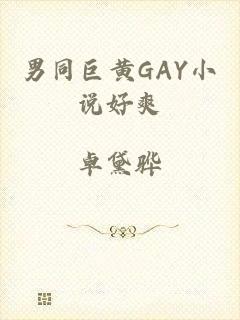 男同巨黄GAY小说好爽