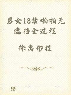 男女18禁啪啪无遮挡全过程