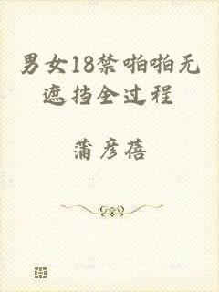 男女18禁啪啪无遮挡全过程