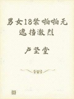 男女18禁啪啪无遮挡激烈