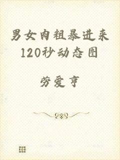 男女肉粗暴进来120秒动态图