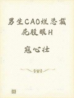 男生CAO烂总裁屁股眼H