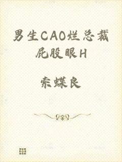 男生CAO烂总裁屁股眼H