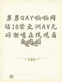 男男GAY啪啪网站18禁亚洲AV无码潮喷在线观看蜜桃