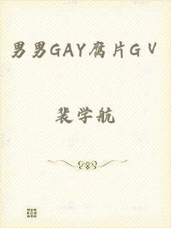 男男GAY腐片GⅤ