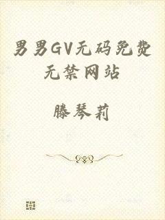 男男GV无码免费无禁网站