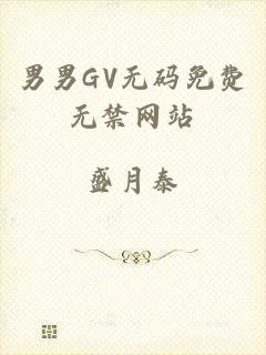 男男GV无码免费无禁网站