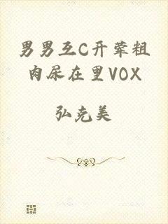 男男互C开荤粗肉尿在里VOX