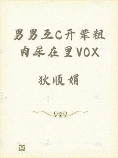 男男互C开荤粗肉尿在里VOX