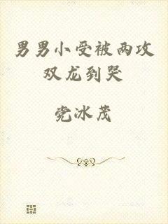 男男小受被两攻双龙到哭