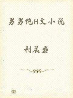 男男纯H文小说