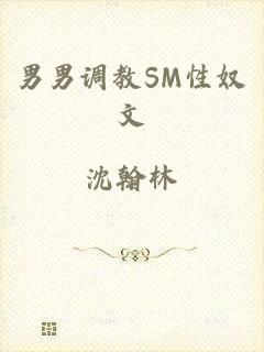 男男调教SM性奴文