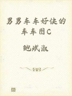 男男车车好快的车车图C