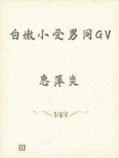 白嫩小受男同GV