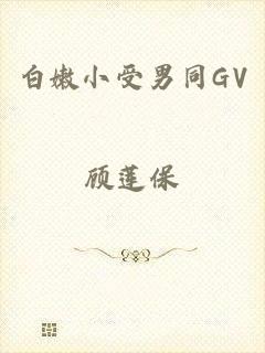 白嫩小受男同GV