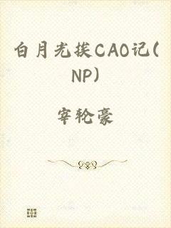 白月光挨CAO记(NP)