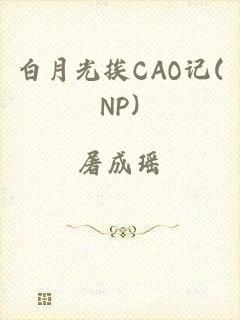 白月光挨CAO记(NP)