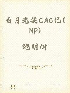 白月光挨CAO记(NP)